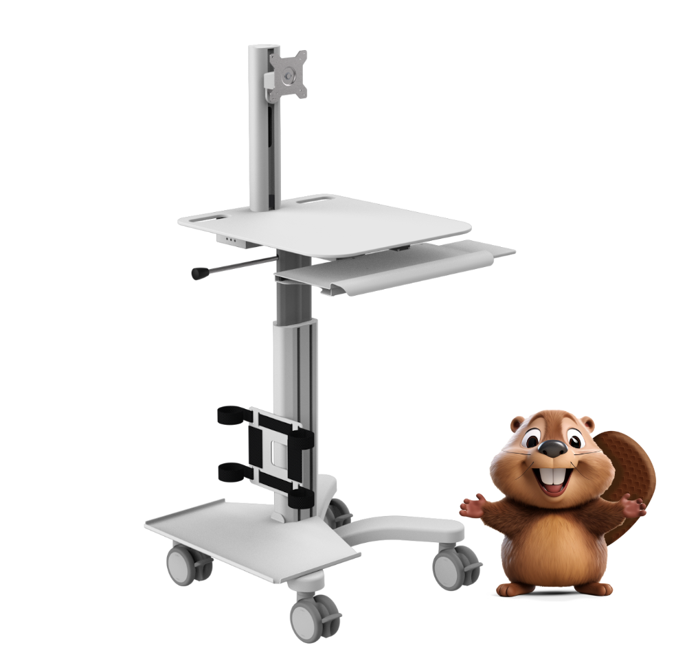 Beaver